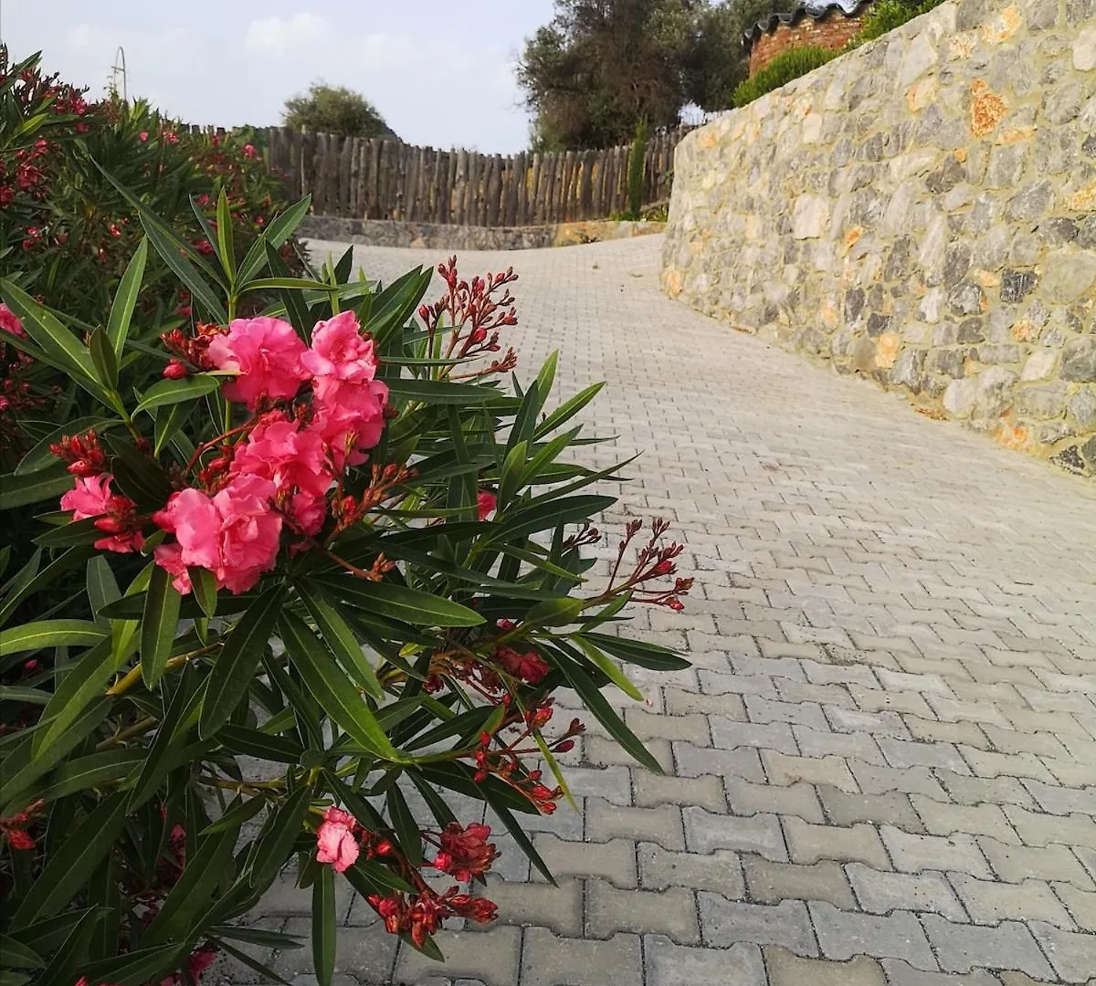 Teos Retreat Houses-Passiflora Izmir